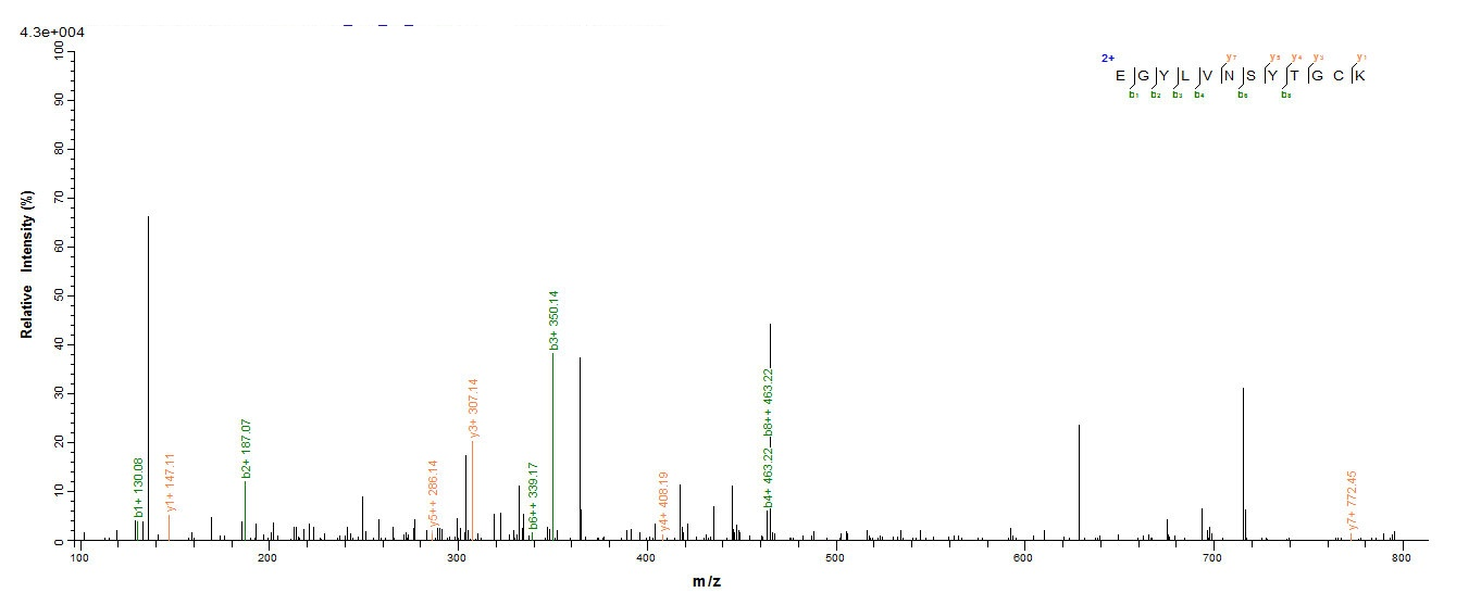 Insect Css4 Protein蛋白，orb35816