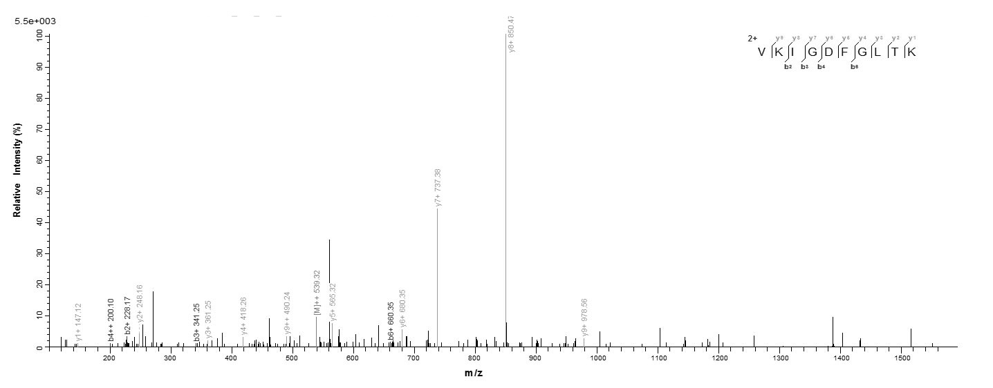 Human JAK2 Protein蛋白,orb244313