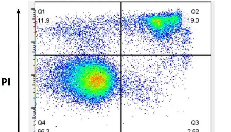流式测细胞调亡，结果怎么看?你关心的实验干货来了!