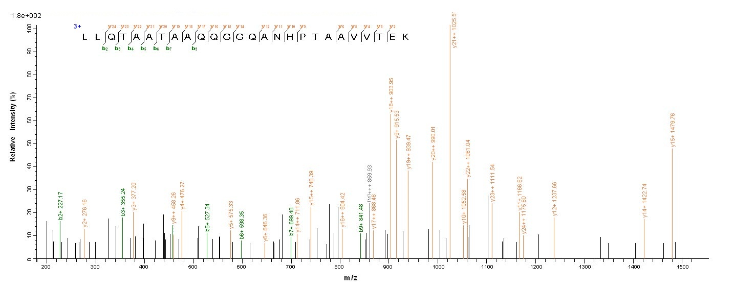 Human STAT3 Protein蛋白，orb24456