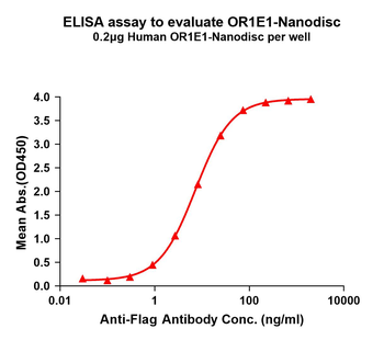 Human OR1E1 full length Protei