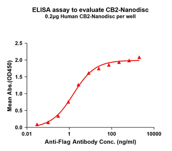 Human CB2 full length Protein蛋