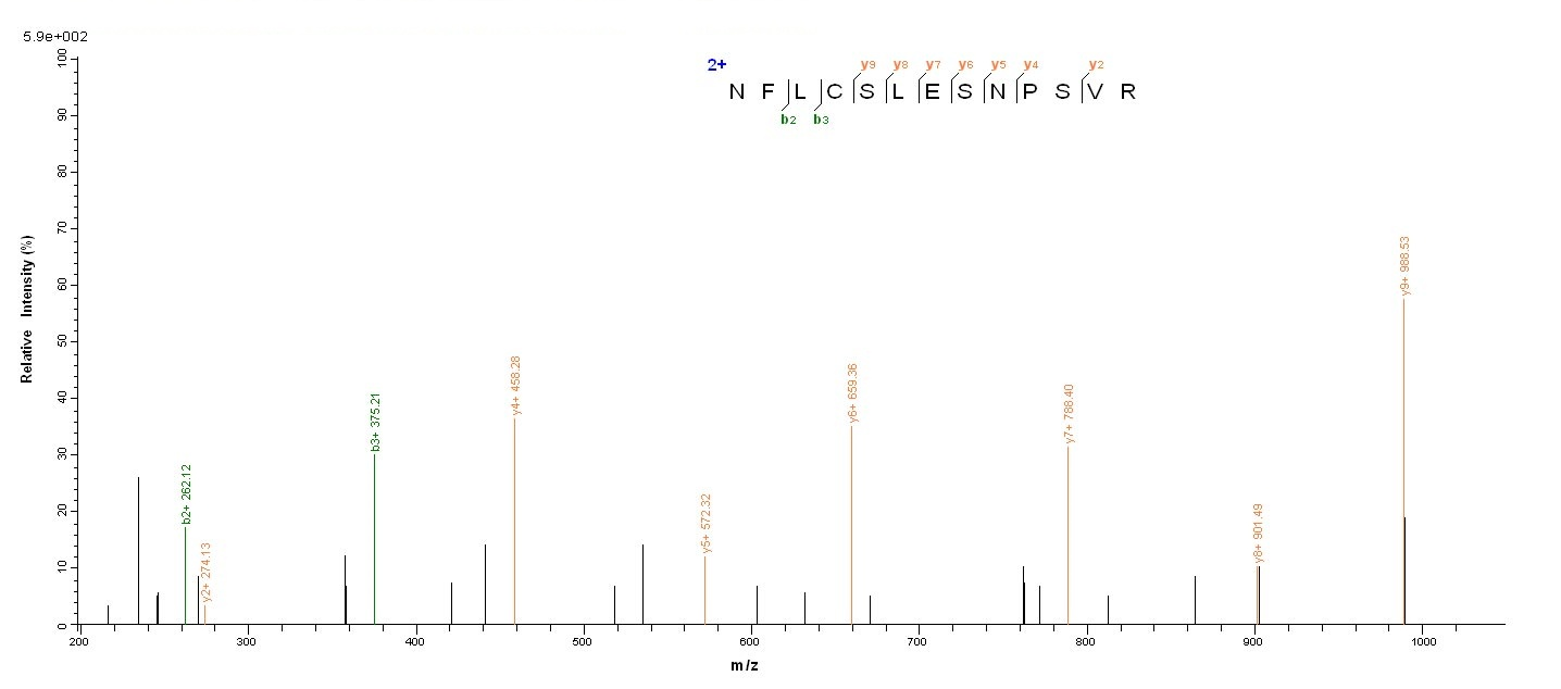 Human IDO Protein蛋白，orb245870，