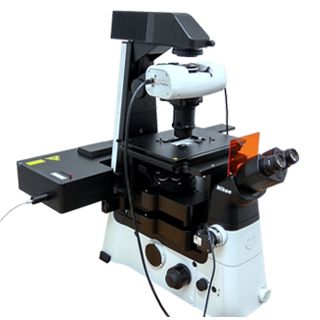 免校准生物型光镊-SENSOCELL