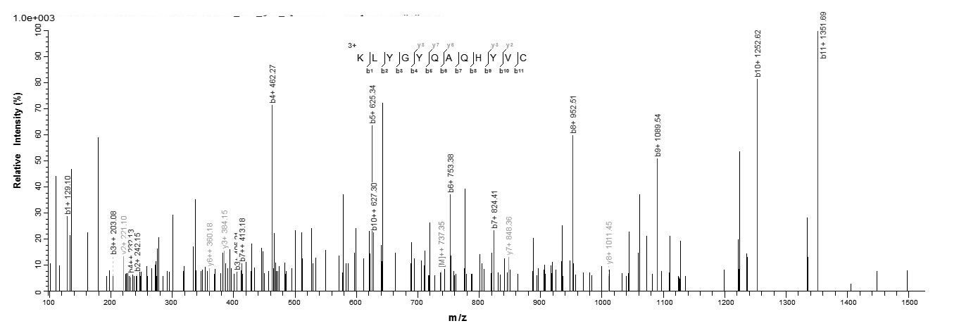 Human TIMP-4 Protein蛋白，orb2453