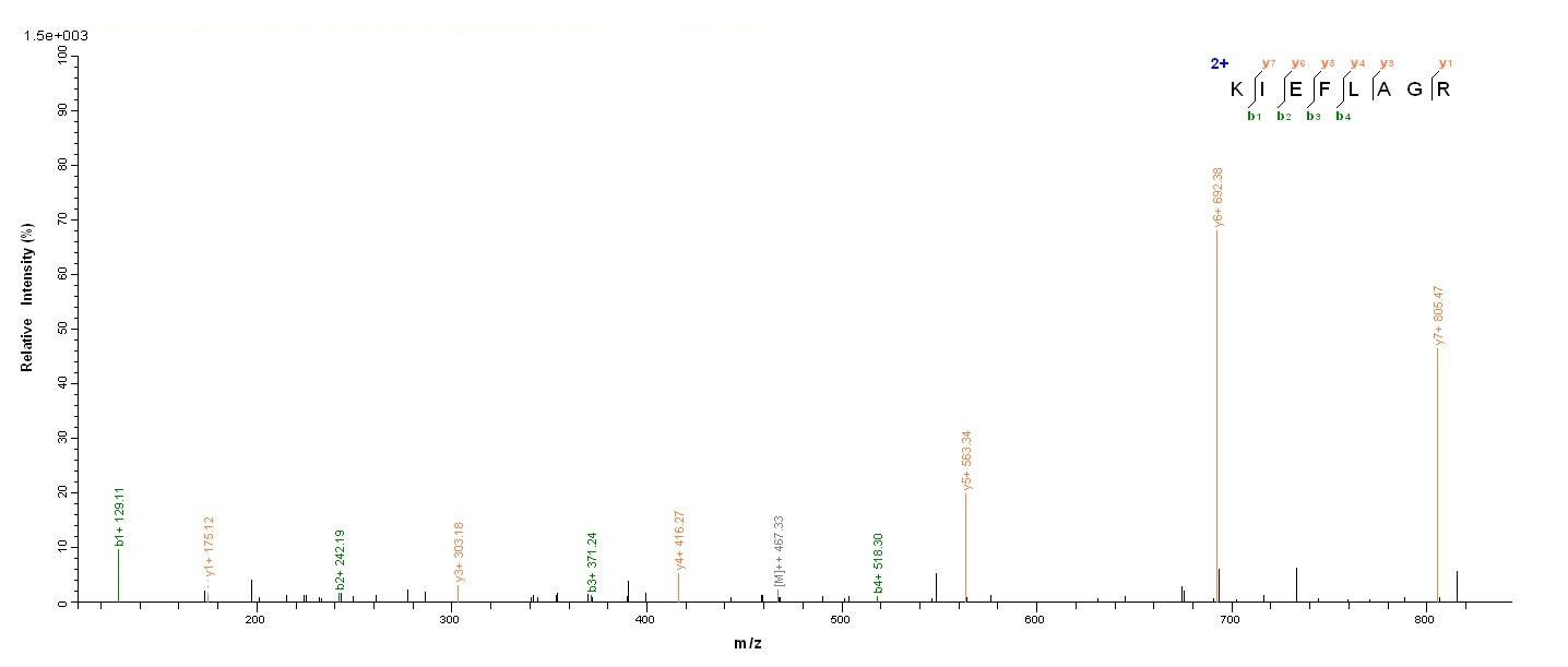 Bacterial acpS Protein蛋白,orb35