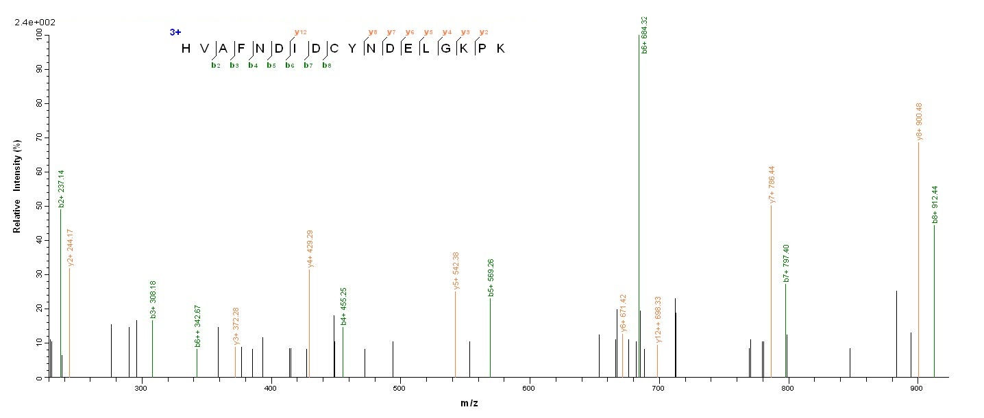 Bacterial acpS Protein蛋白,orb35