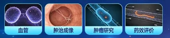 近红外二区（NIR-II）荧光活体成像服务