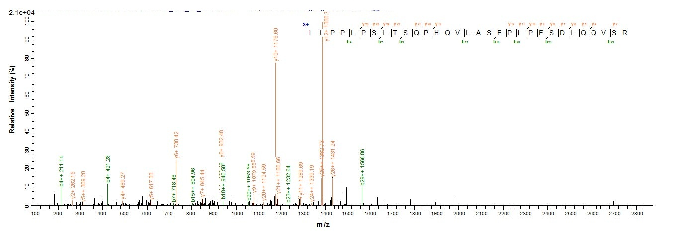 Human LAMTOR1 Protein蛋白，orb358