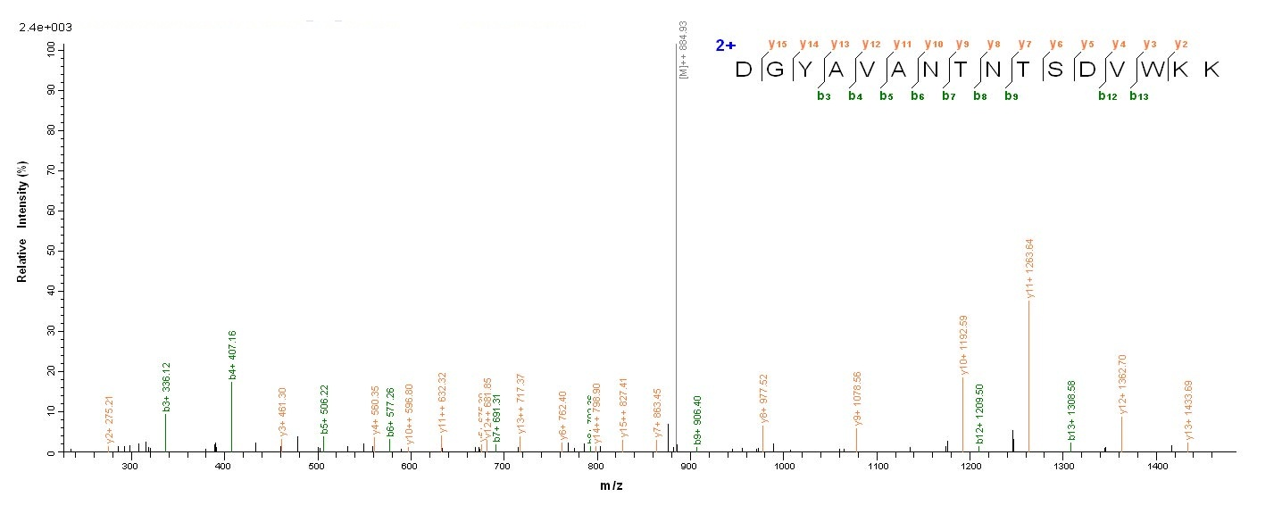 Mouse Ly75 Protein蛋白，orb244357