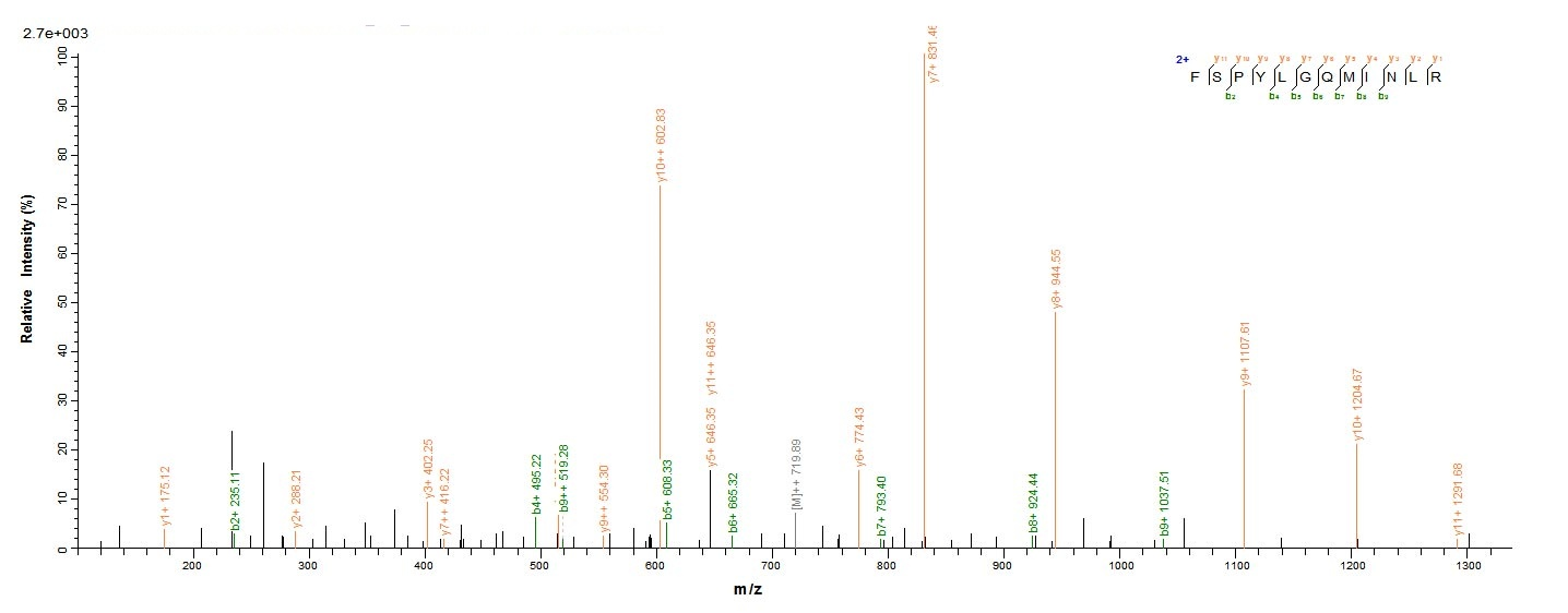 Human PRAME Protein蛋白，orb24596
