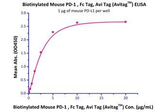 Mouse PD-L1 Protein蛋白, Fc Tag，