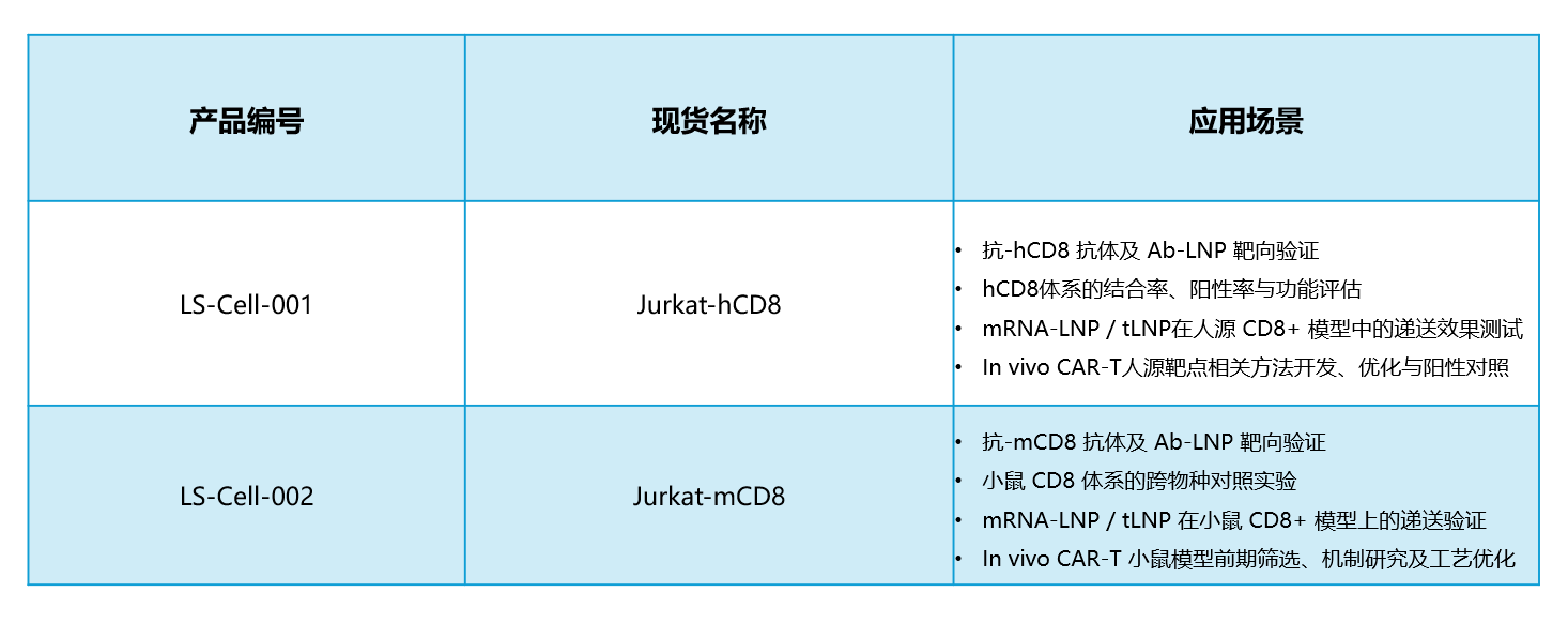 CD8细胞系现货发布，助力体内CAR-T精准验证