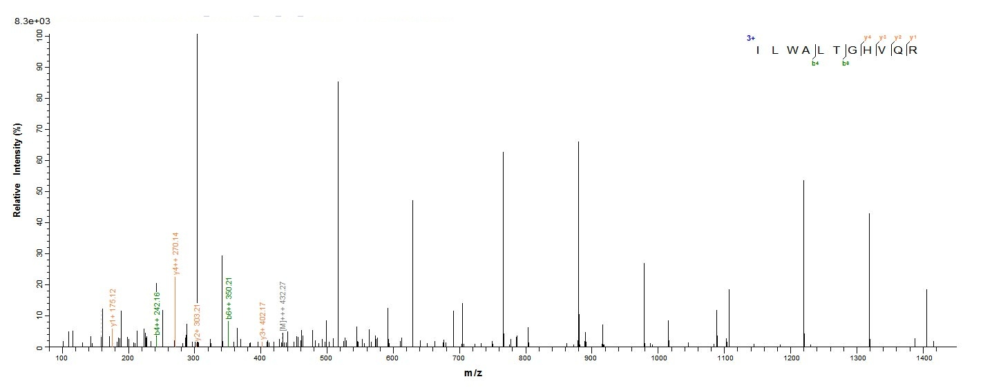 Human C19orf80 Protein蛋白，orb24
