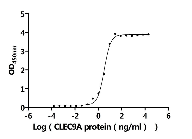 重组蛋白 Human C-type lectin domai