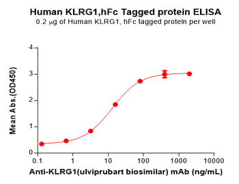 Human CD70 Protein蛋白, hFc-His