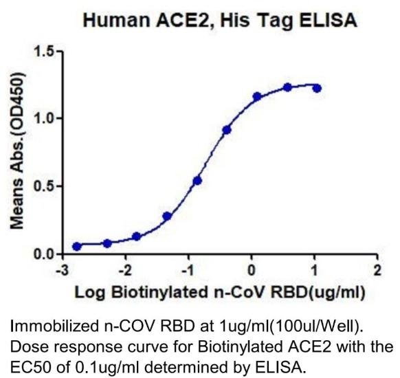 SARS-CoV-2 (COVID-19) Biotinyl