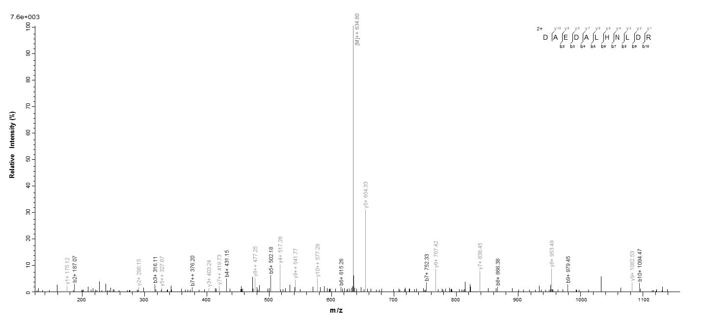 Human SRSF10 Protein蛋白，orb2465