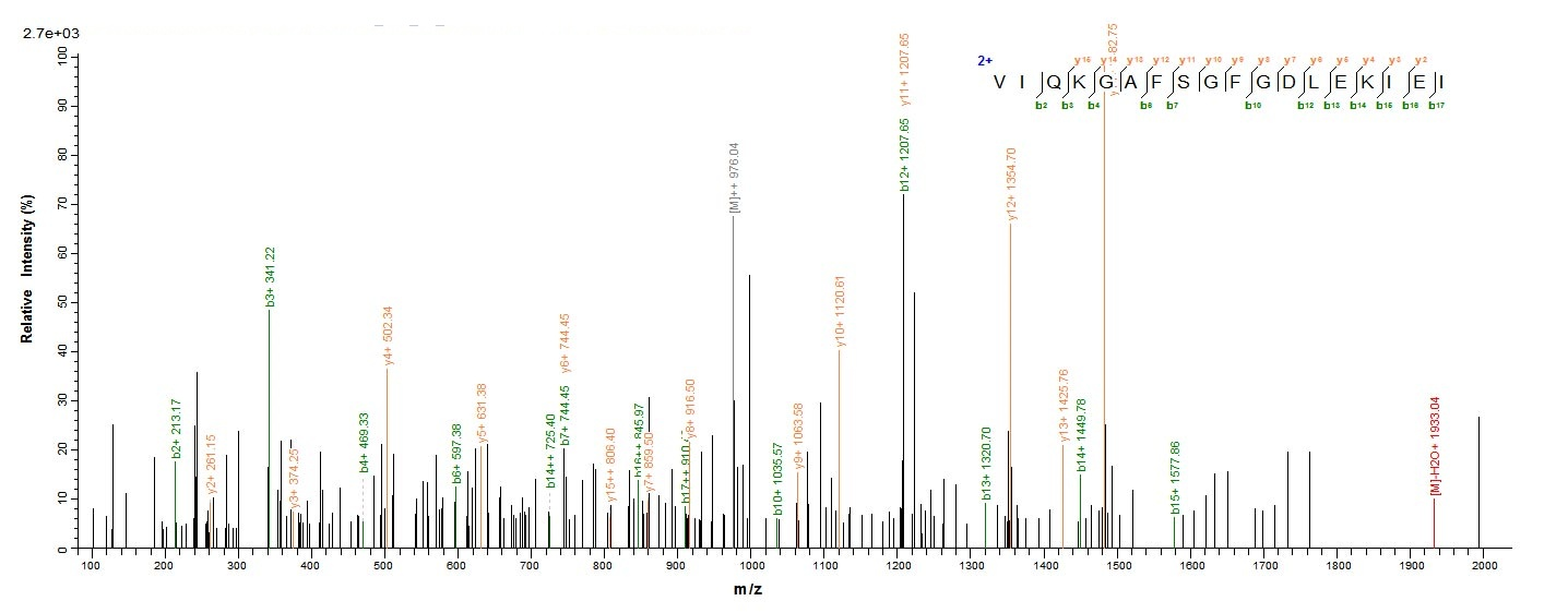 Human FSHR Protein蛋白，orb244214