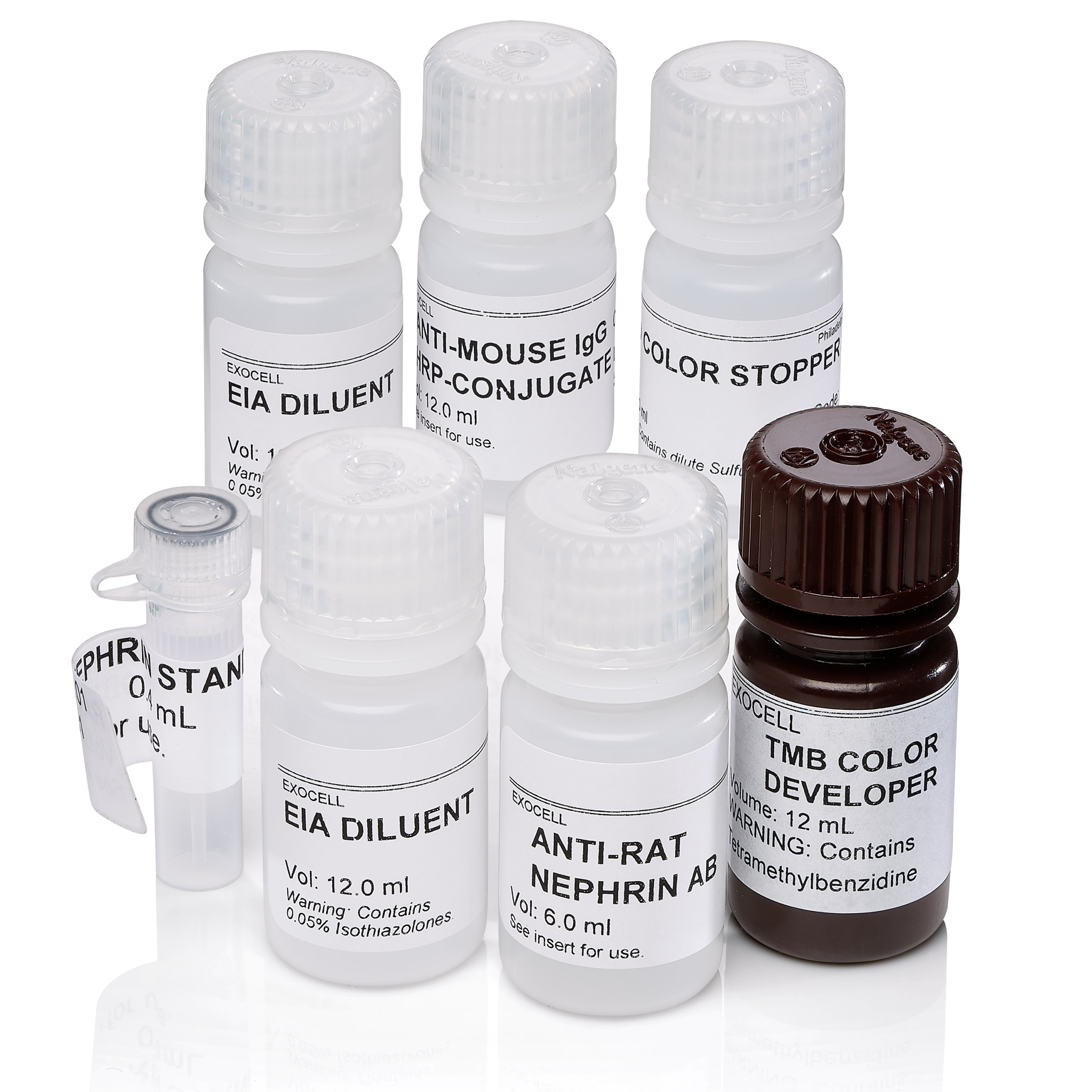 大鼠Nephrin ELISA检测试剂