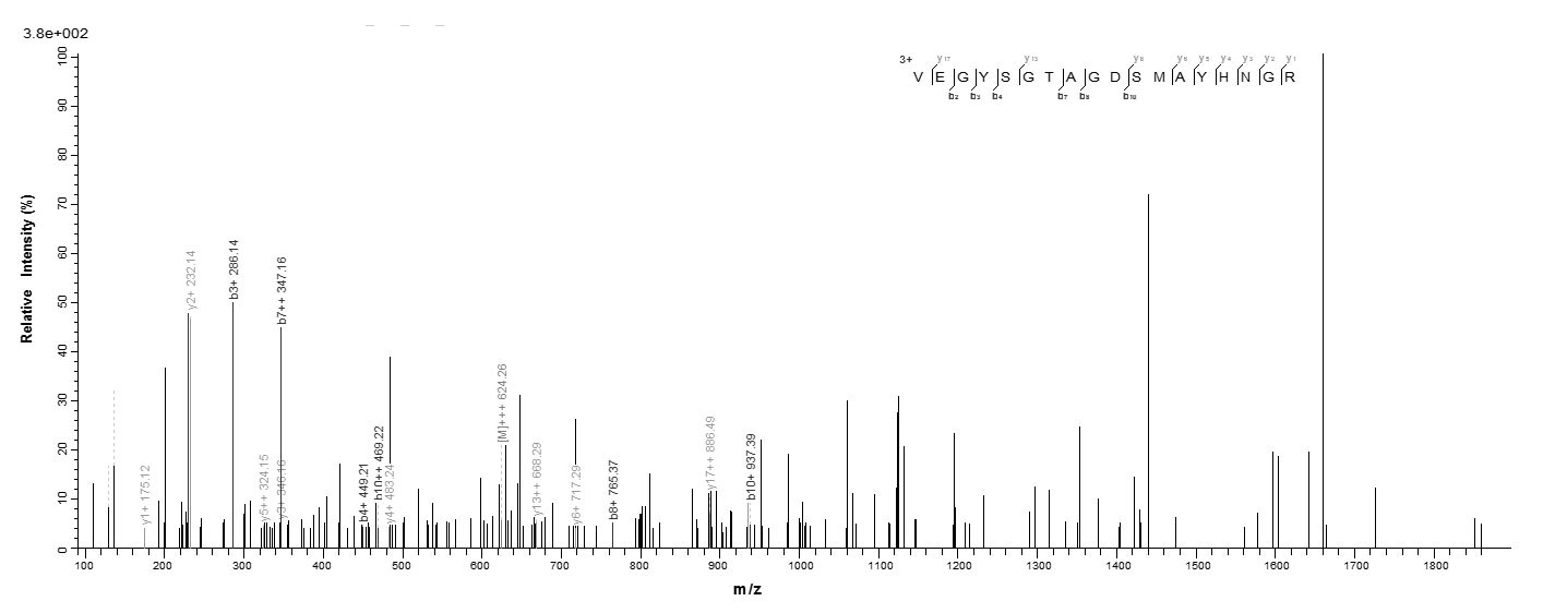 Human TNC Protein蛋白，orb245508，