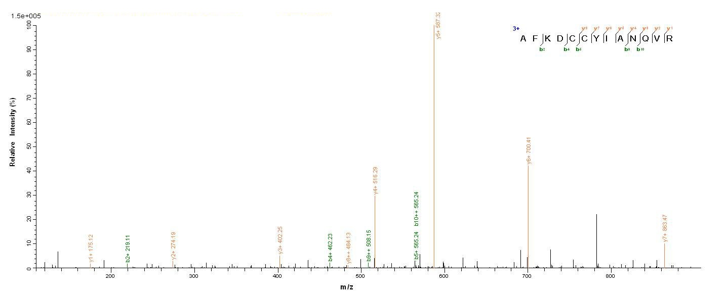 Pig C5 Protein蛋白，orb245769，bio