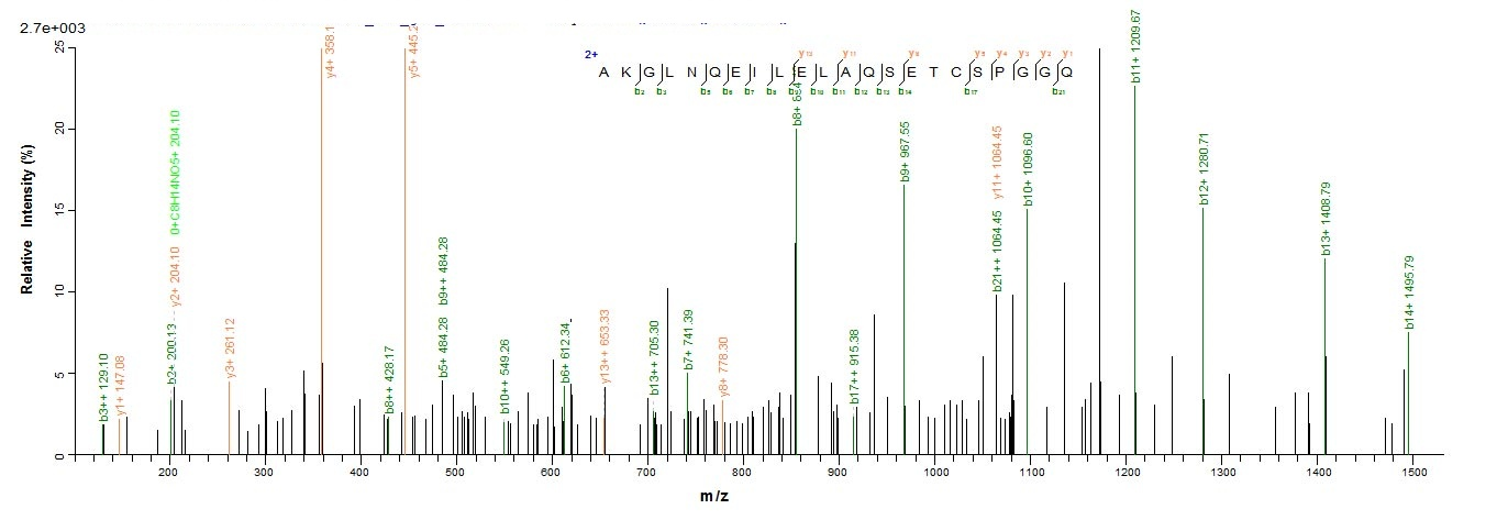 Dog Major allergen Can f 1 Pro