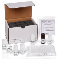 大鼠Nephrin ELISA检测试剂盒-Rat Nephrin ELISA Kit