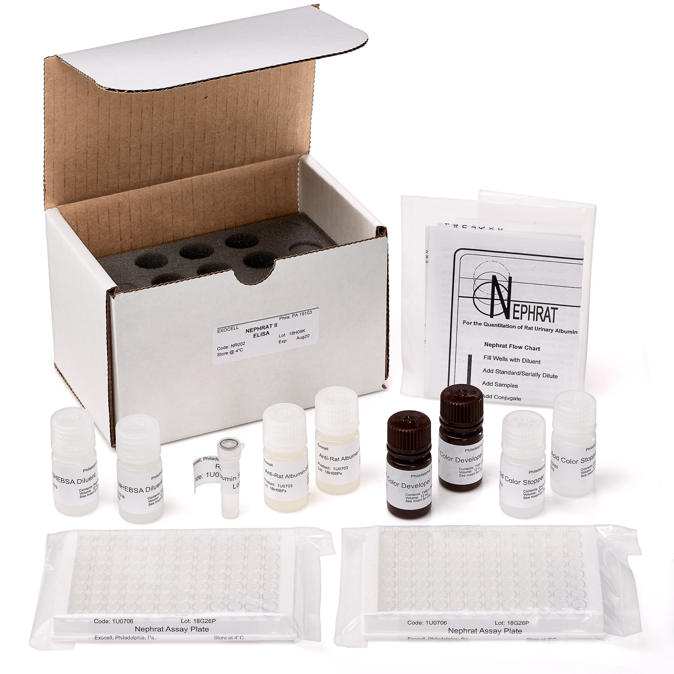 大鼠Nephrin微量白蛋白ELISA检测试剂盒-Nephrat II ELISA Kit