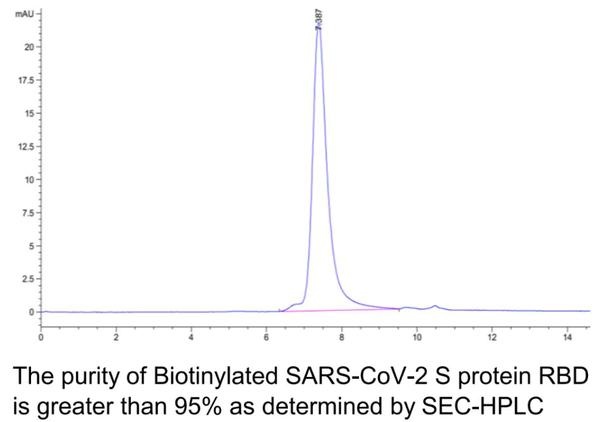 SARS-CoV-2 (COVID-19) Biotinyl