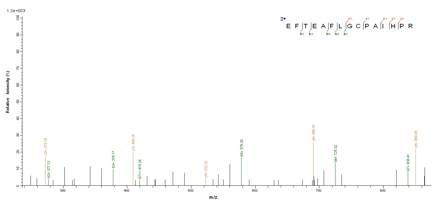 Human PGLYRP2 Protein蛋白，orb246