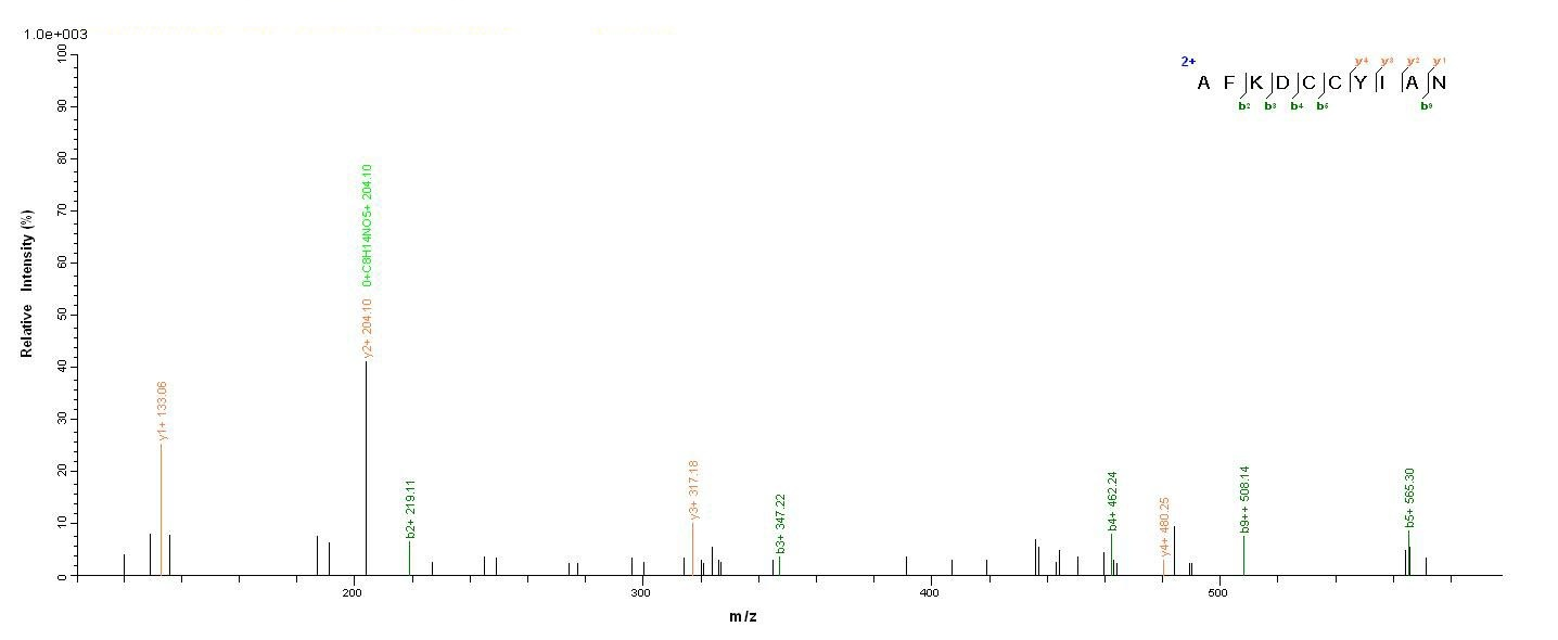 Pig C5 Protein蛋白，orb245769，bio