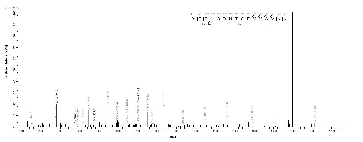 Human JAK2 Protein蛋白,orb244313