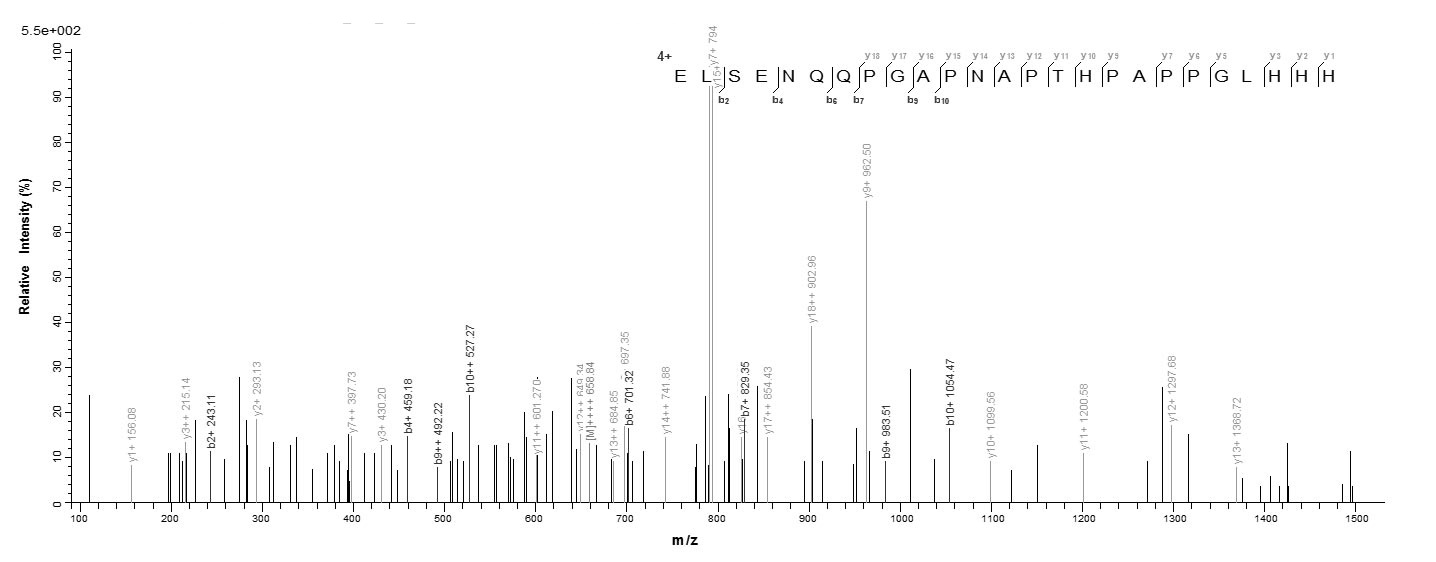 Human SEPP1 Protein蛋白，orb24598