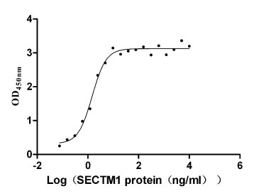 重组蛋白 Human T-cell antigen CD7