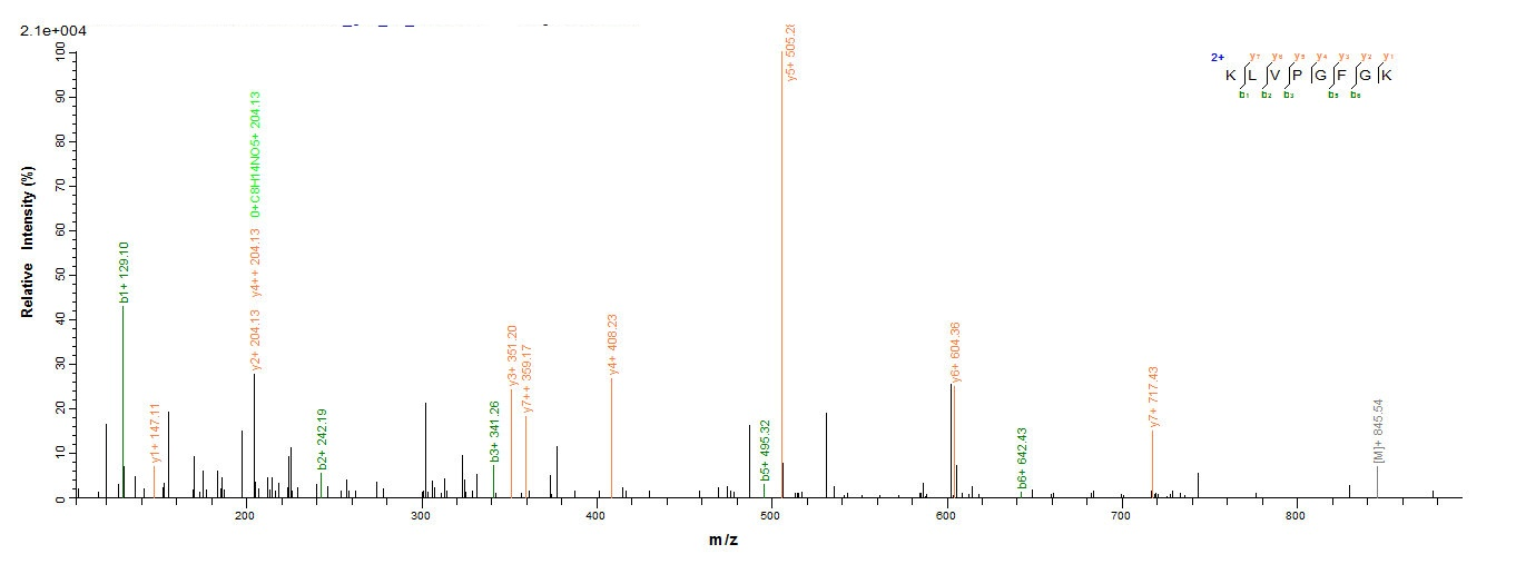 Rabies virus Glycoprotein蛋白，or