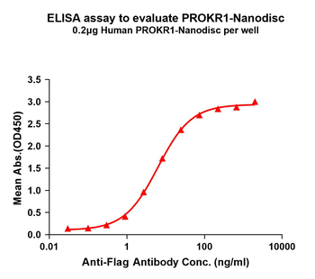 Human PROKR1 full length Prote