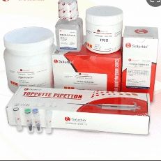 柱式法提取组织RNA试剂盒