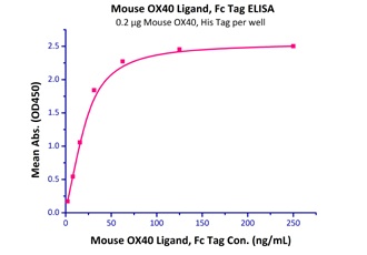 OX40 Ligand 重组蛋白,orb1227668,bi