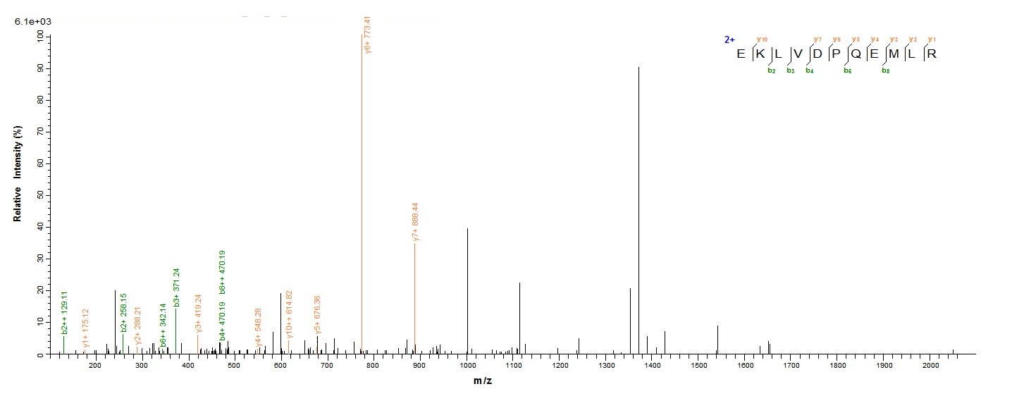 Human FDXR Protein蛋白，orb358091