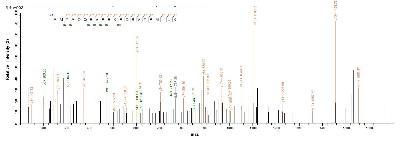 Dog Major allergen Can f 1 Pro