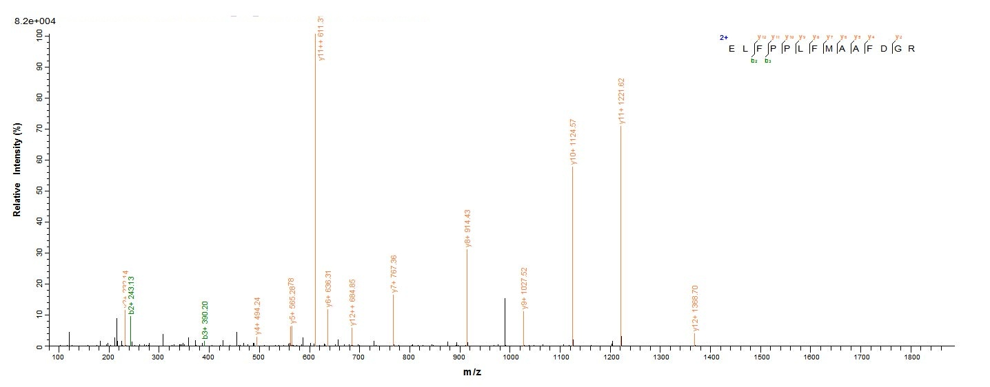 Human PRAME Protein蛋白，orb24596