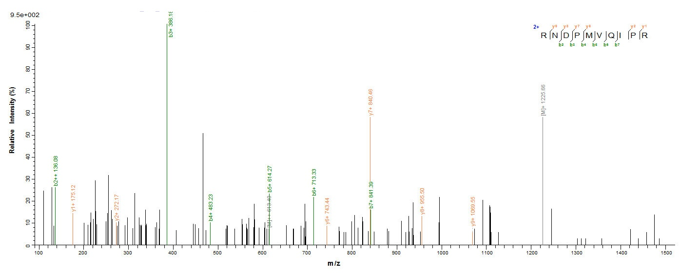 Bacterial fbpC Protein蛋白,orb35