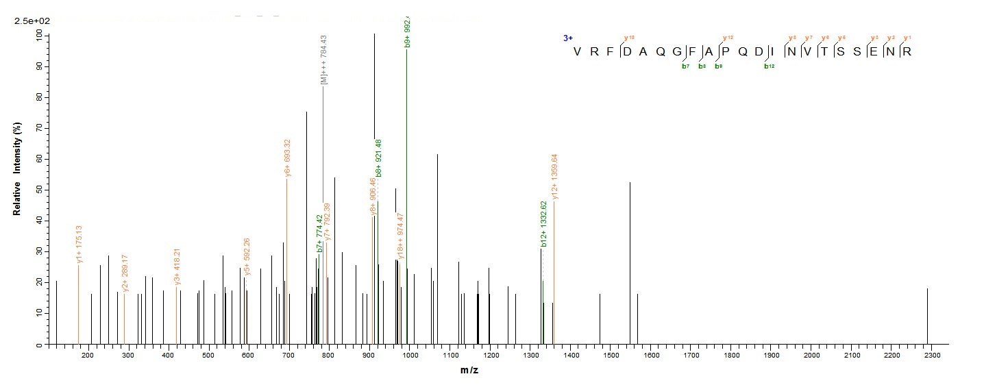 Animal Major egg antigen Prote