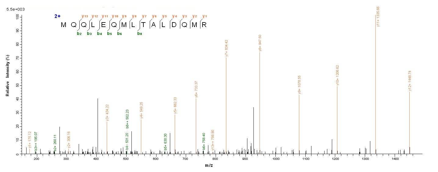 Human STAT3 Protein蛋白，orb24456