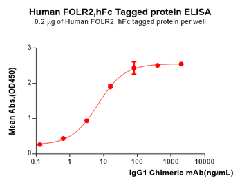 Human BCMA Protein蛋白, His Tag，