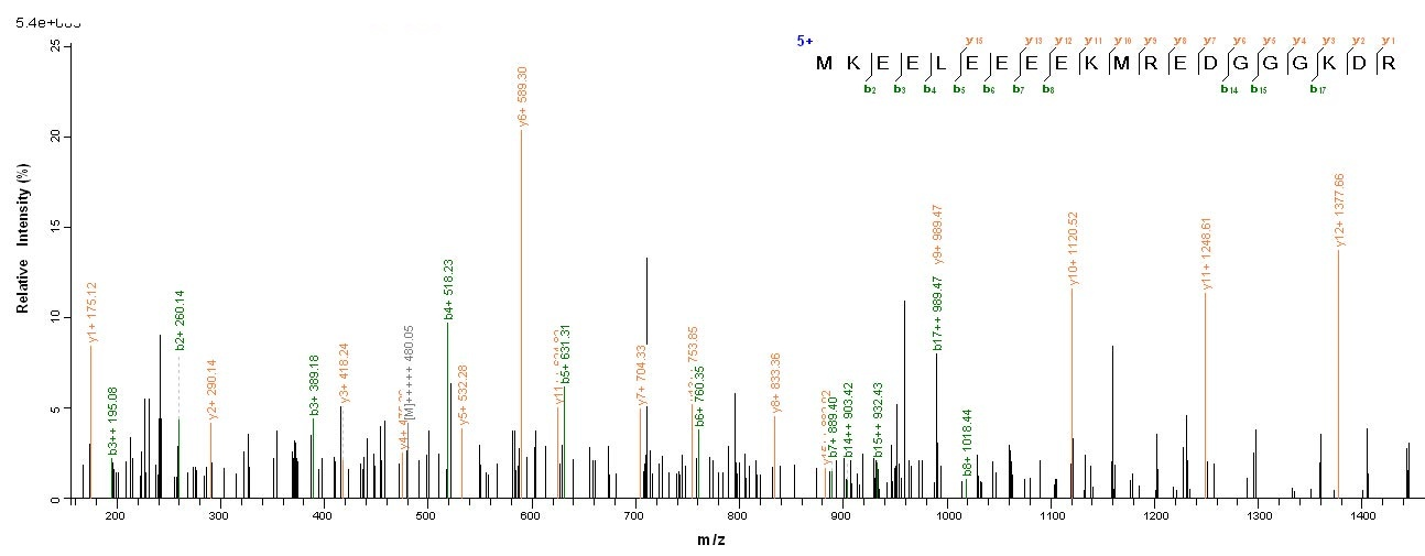 Human RHBDL2 Protein蛋白，orb2444