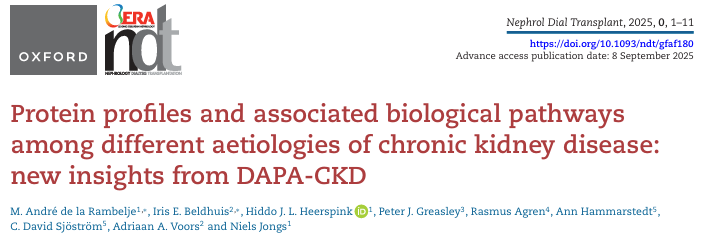 从'一刀切'到精准分型：Olink蛋白组学为慢性肾病个体化治疗提供分子基础