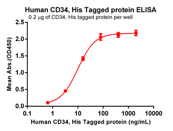 Human ICAM-1 Protein蛋白, mFc Ta