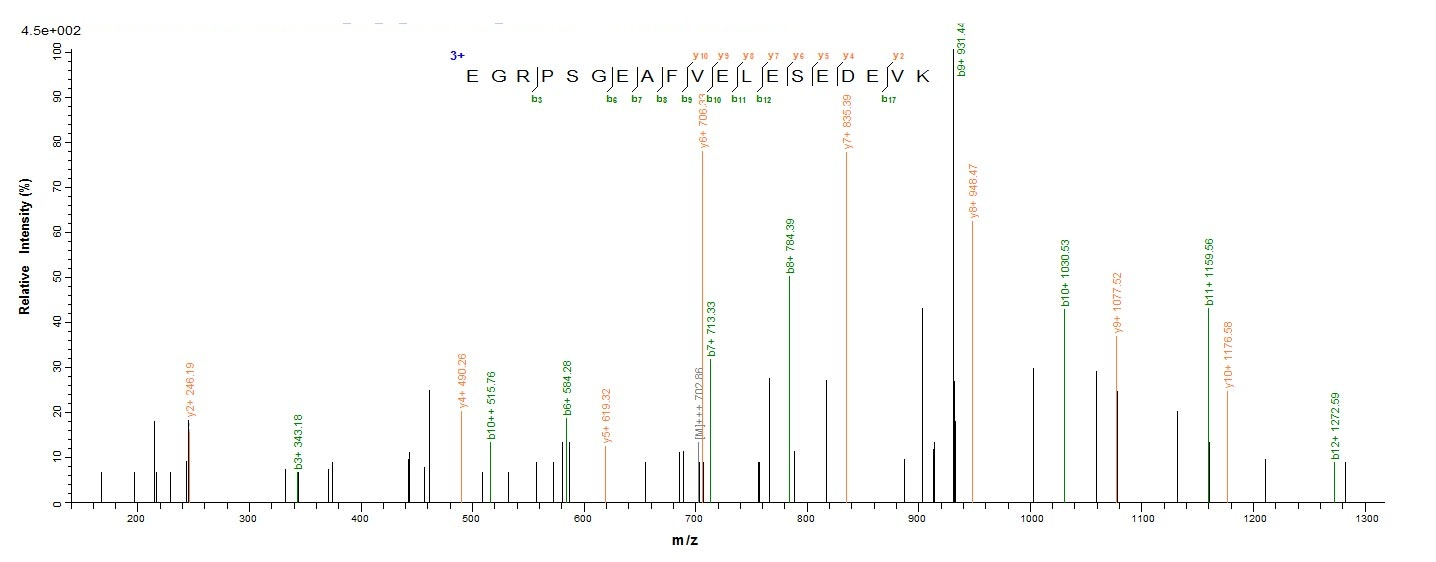 Human HNRNPH1 Protein蛋白，orb244